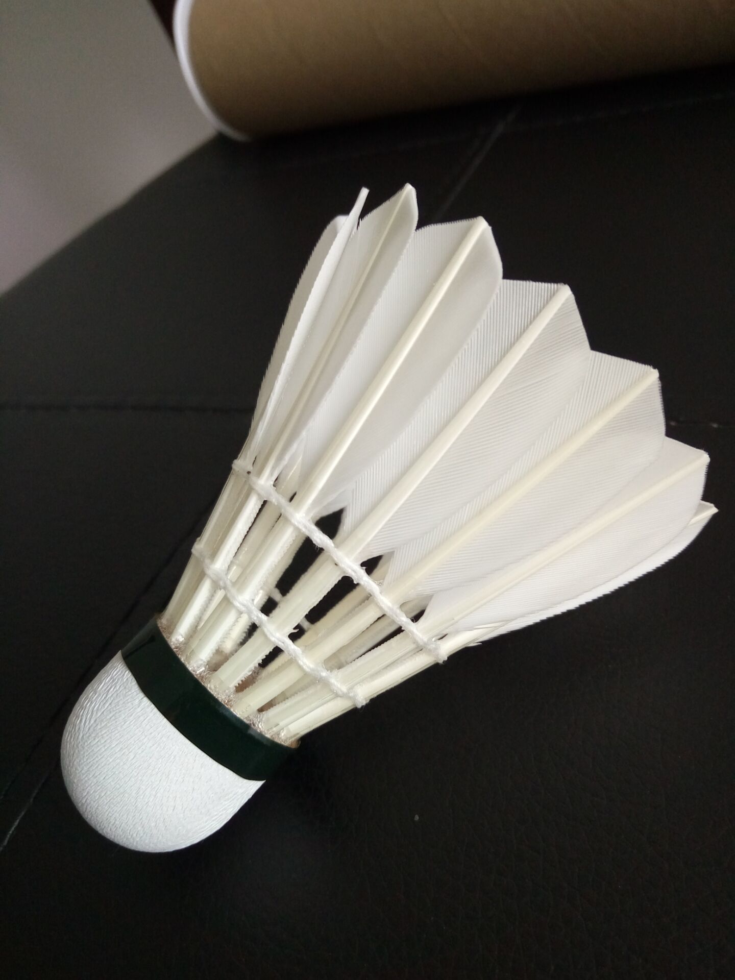 体育十九届 体育十九届