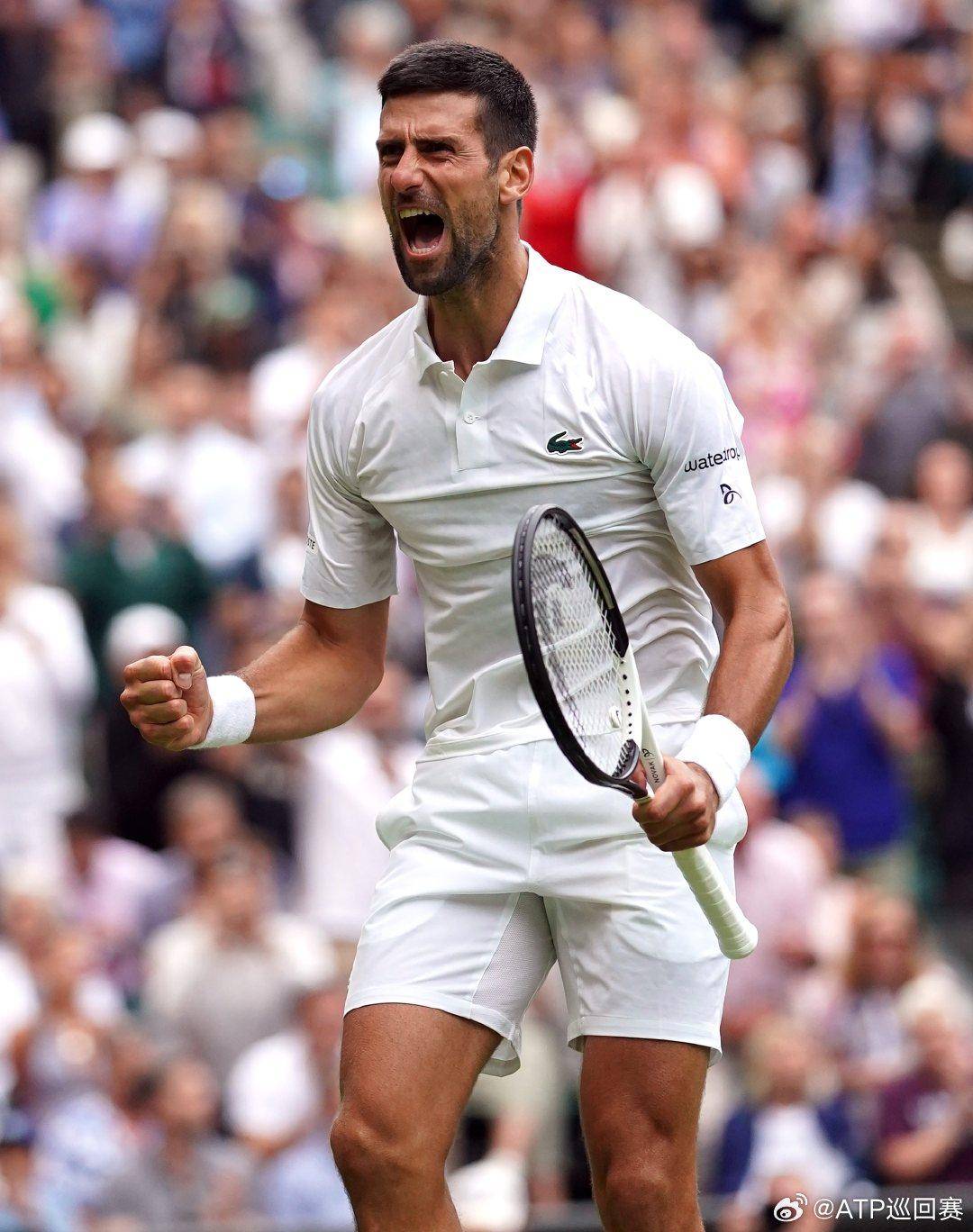 作为意甲的 作为意甲的