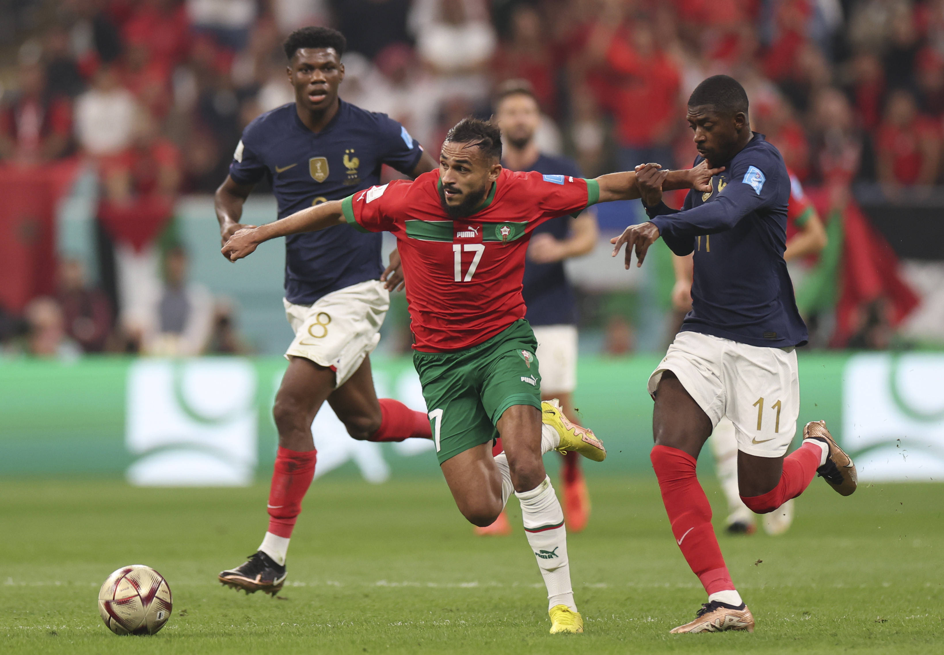 国羽这位主 国羽这位主