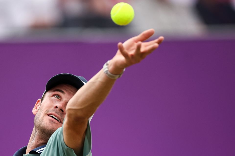 抗能力在面 抗能力在面