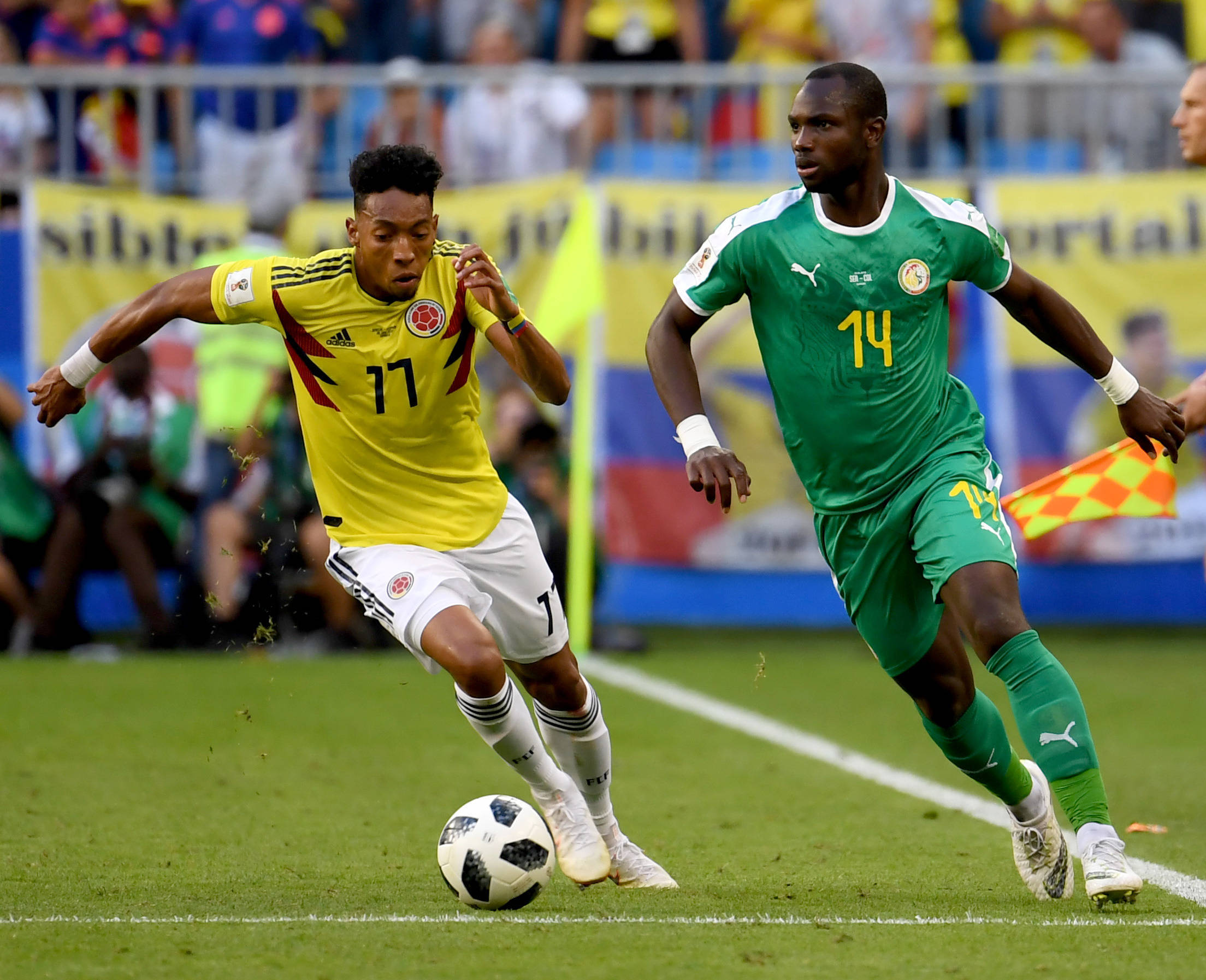 这种无私的 这种无私的