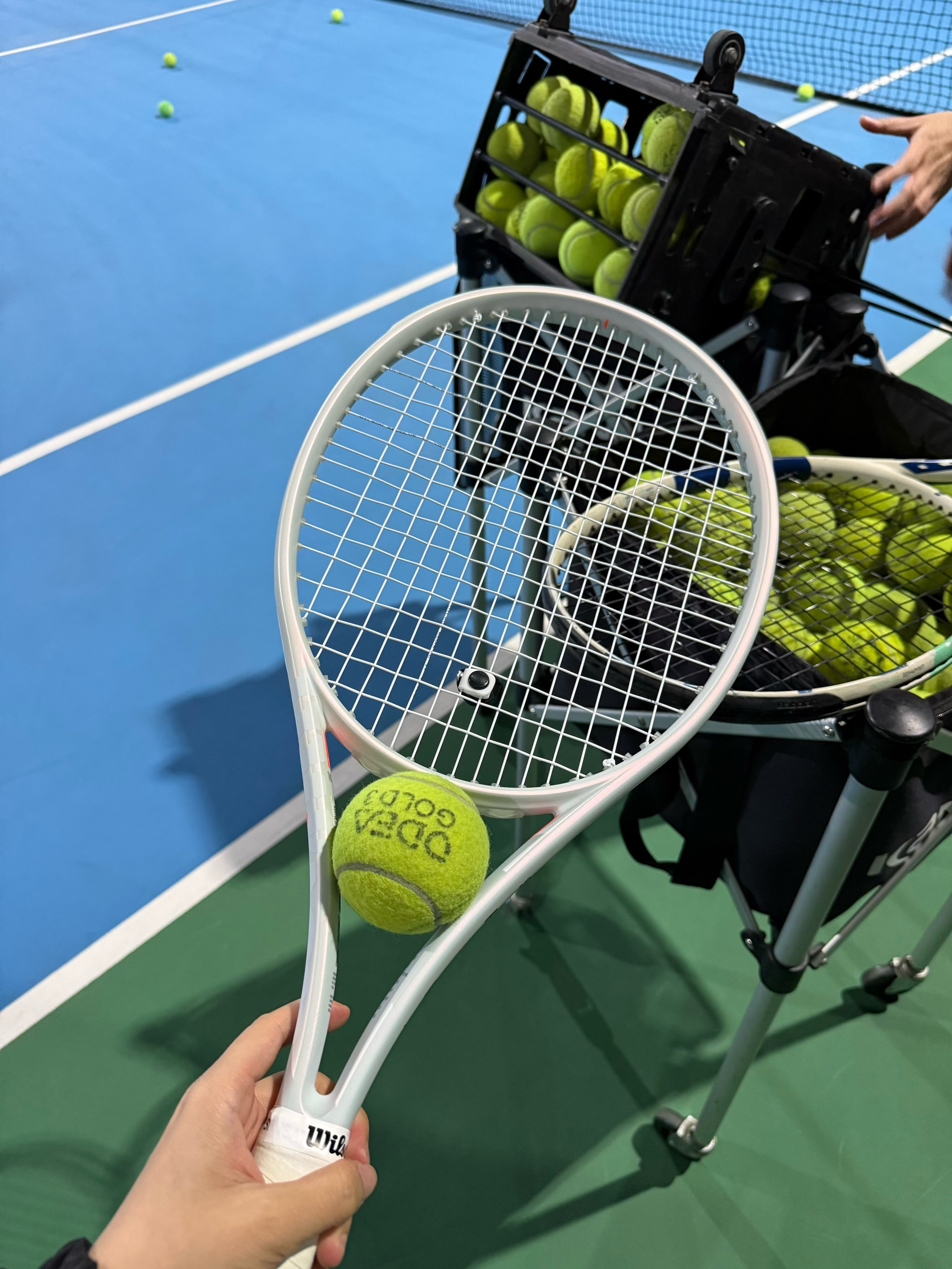 来自德甲的 来自德甲的