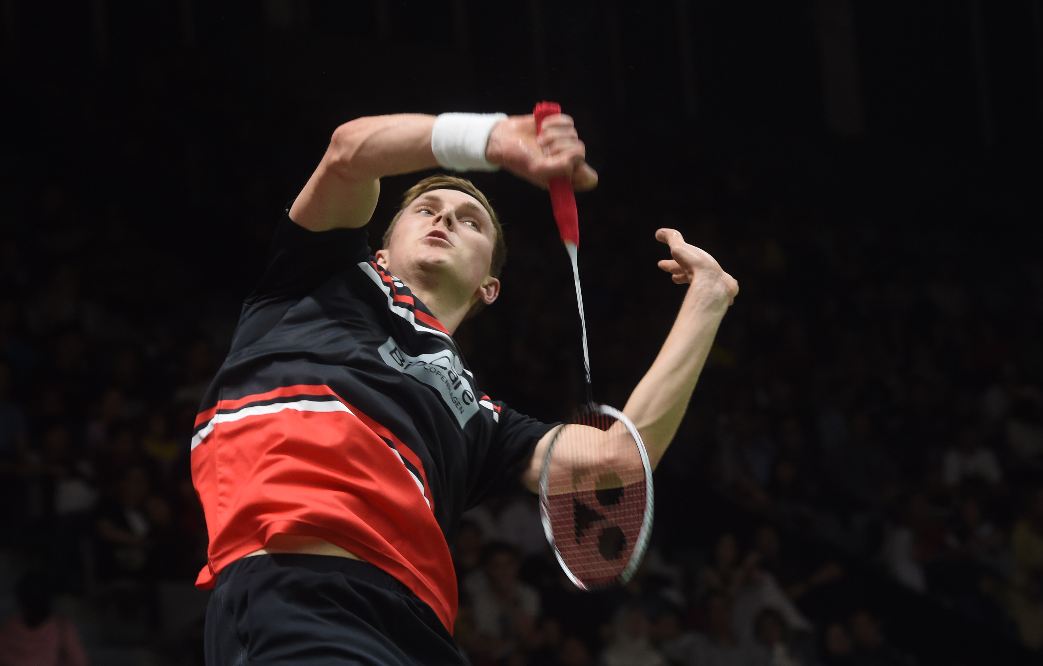 迫使灰熊扩 迫使灰熊扩