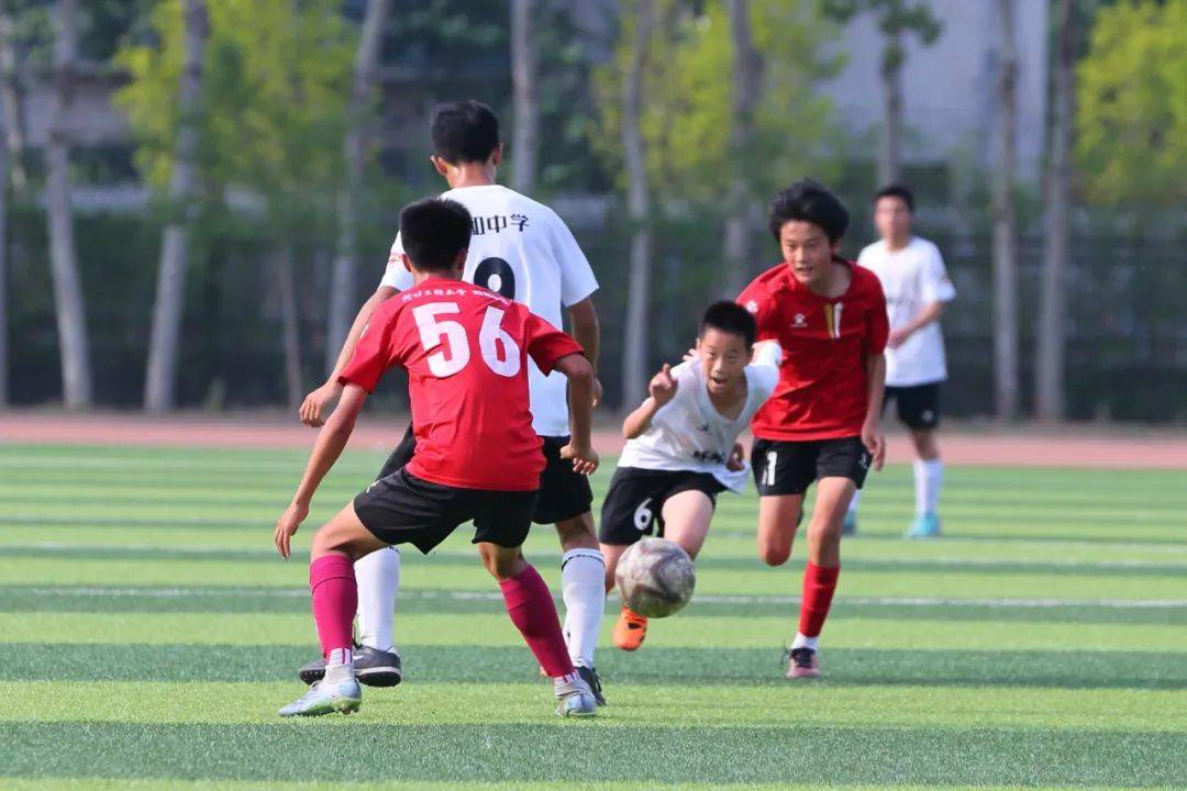 温了维尼修